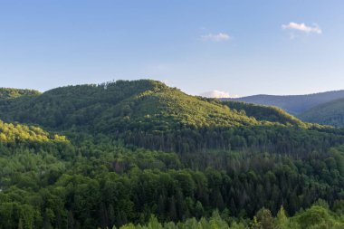 Nispeten alçak dağ sırtları gün batımından önce güneşli bir bahar akşamında açık gökyüzüne karşı orman ve yaprak döken ağaçlarla kaplıydı.