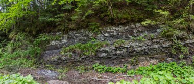 Karpatlar 'daki kayaların katmanlı yapısını gösteren çıkıntılı bir dağ yamacı parçası bulutlu bir günde panoramik bir manzara.