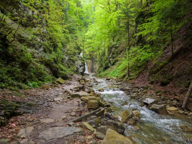 Ormanlı, sarp kayalık duvarları olan dar dağ geçidi içinden akan akarsu ve bahar sonunda bulutlu bir günde şelale.