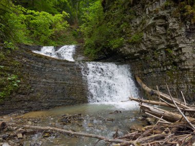 Cascade Zamlaksky şelalesi Ukrayna Karpatları 'nın bahar bulutlu gününde dağ geçidinde katmanlı bir yapıyla üç kayalıktan düşüyor.