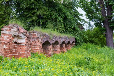Kısmen harap olmuş eski savunma manastırının tuğla duvarı farklı otlarla kaplanmış, bahar bulutlu günlerinde manzara
