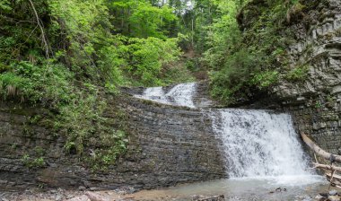 Şelale Şelalesi Ukrayna 'nın Ukrayna Karpatları' ndaki dağ geçidinde üç kayalık çıkıntıdan düşüyor.