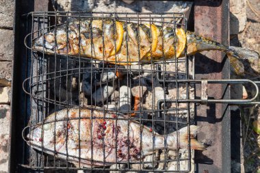 Baharat ve baharatlarla marine edilmiş, limon dilimleri ile marine edilmiş, mangal ızgarasında ızgara yapılırken açık havada mangal ızgarası, yakın plan.