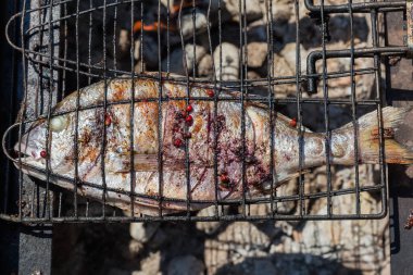 Baharat ve otlarla marine edilmiş tüm Dourade mangal ızgara ızgara sırasında açık kömür üzerinde, üst görünüm yakın çekim