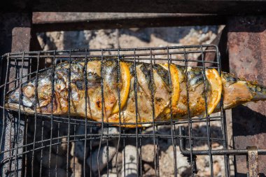 Tüm Atlantik uskumrusu daha önce baharat ve otlarla marine edilmiş limon dilimleri ile mangal ızgarasında ızgara yaparken açık havada mangal kömürü üzerinde, üst tarafta yakın plan.