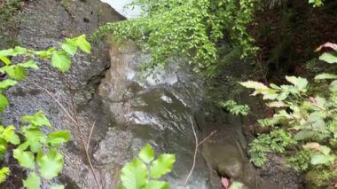 Küçük şelaleli dağ deresi ve ormandaki dik kıyılar.