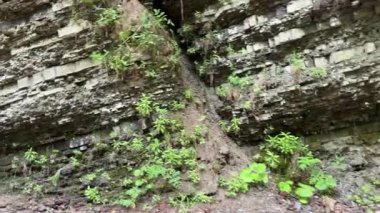 Dağ yamacının bir kısmı kayalardan oluşan katmanlı bir yapıya sahip.