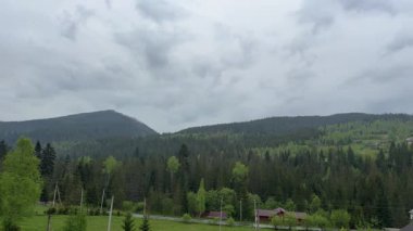 İlkbahar yağmurlu sabahında bulutlu gökyüzüne karşı orman ormanı.