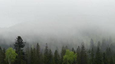 Dağlık alan ve bulutlu gökyüzü Yağmurlu bir sabah, hızlandırılmış