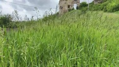 Ukrayna 'daki ortaçağ Sydoriv Kalesi' nin hasarlı kulesine karşı yüksek çimler