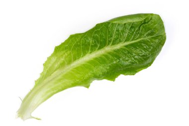 Taze romaine marulundan ayrı yeşil yaprak, ya da beyaz arka planda sert kaburgalı marul, üst manzara