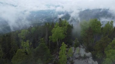 Kayalık dağ zirvesi ormanla kaplı, sisli hava manzarası