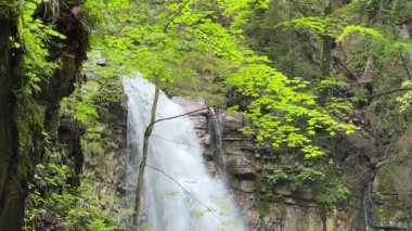 Maniava Şelalesi Ukrayna Karpatlarının sarp kayalıklarından düşüyor