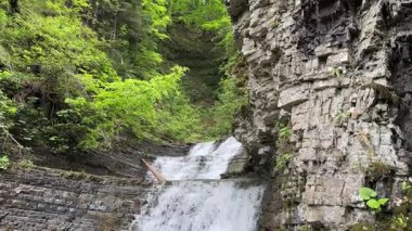 Zamlatsky Şelalesi Ukrayna Karpatları 'ndaki katmanlı kayalardan düşüyor