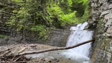 Zamlatsky Şelalesi Ukrayna Karpatları 'ndaki katmanlı kayalardan düşüyor