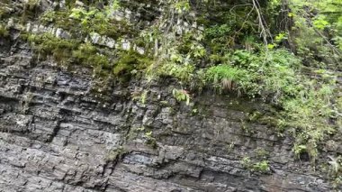 Zamlatsky Şelalesi Ukrayna Karpatları 'ndaki katmanlı kayalardan düşüyor