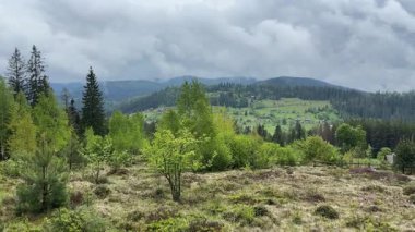 Bahar yağmurlu günlerde Karpatlar 'da köylü Dağ Vadisi