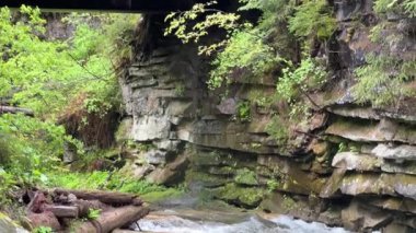 Mountain stream with rocky bank and wooden bridge on background