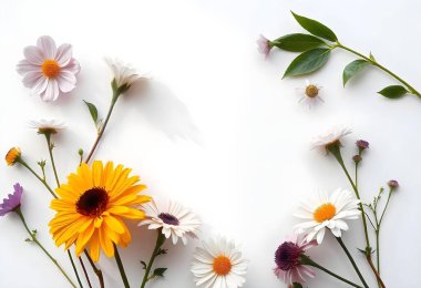  beyaz kağıt arkaplanda çiçekler