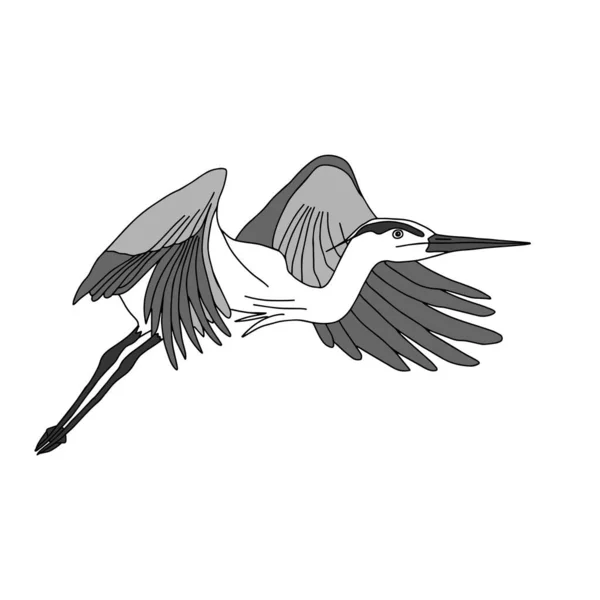 Eine Handgezeichnete Schwarze Vektorillustration Eines Graureihers Fliegt Auf Weißem Hintergrund — Stockvektor