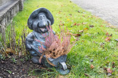 Kırmızı fundalık bitkilerle süslenmiş güzel gri hayvan bahçesi figürü sonbaharda.