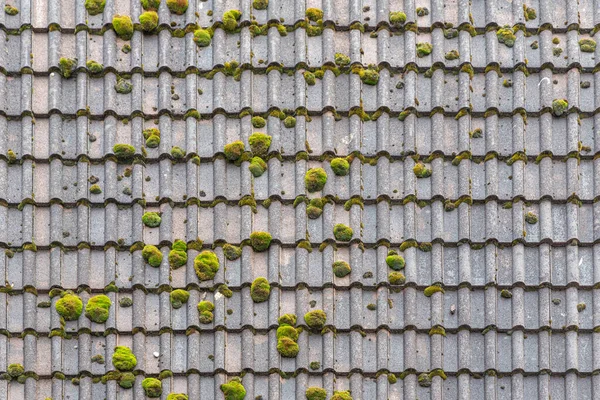 stock image A beautiful horizontal texture of part of an old gray roof of clay tiles with green moss