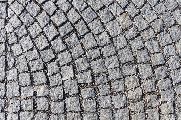 Uma Textura Caminho Pavimentado Cinza Está Parque Outono — Fotografia de Stock