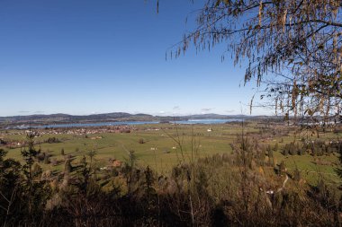Sonbahar sabahı dağların ve ağaçların kırsal manzarası.
