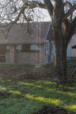 Tahta salıncak sonbahar günü yapraksız ağaçta.