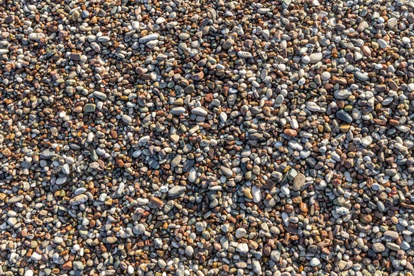 照片中 黄沙与波纹卵石和贝壳构成的美丽的横向质感 — 图库照片