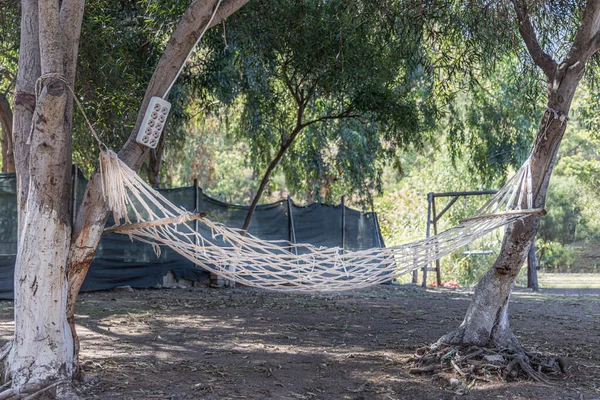Yazın Avludaki Ağaçların Arasında Çocuk Parkında Eski Beyaz Bir Hamak — Stok fotoğraf