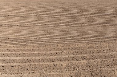 Tarım için sebze ekmeye hazır güzel kahverengi bir tarla dışarıda.