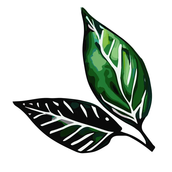 Illustration Green Leaves White Background — Stock Vector