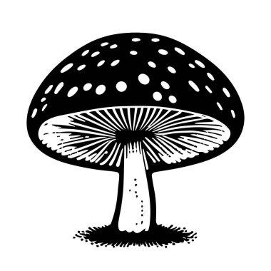 Beyaz arka planda izole edilmiş bir siyah el yapımı taze mantar sineği çizimi.