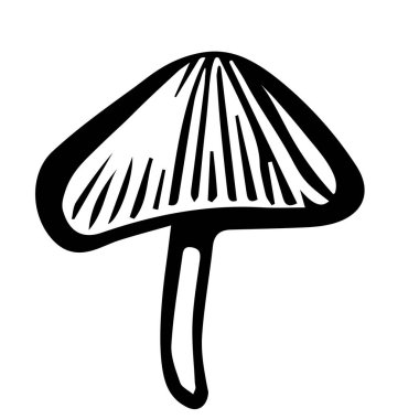 Beyaz arka planda izole edilmiş taze bir mantar mantar mantarının siyah el çizimi çizimi çizimi