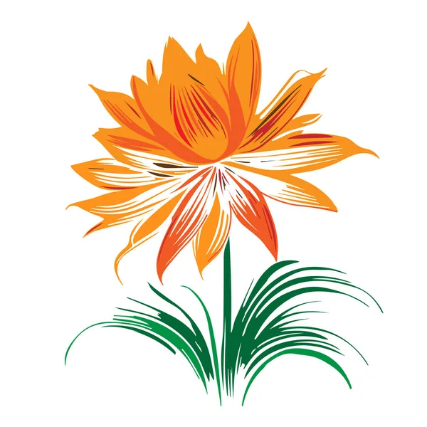 Eine Vektor Illustration Einer Orangefarbenen Sonnenblumenblume Mit Grünen Blättern Auf — Stockvektor