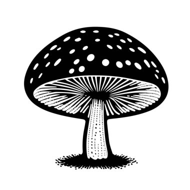 Beyaz arka planda izole edilmiş bir siyah el yapımı taze mantar sineği çizimi.