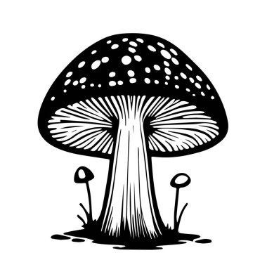 Beyaz arka planda izole edilmiş bir siyah el yapımı taze mantar sineği çizimi.