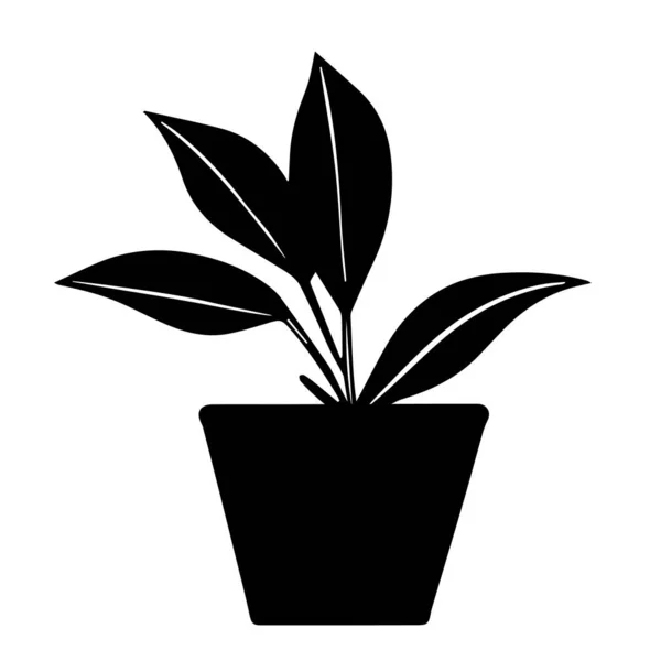 白い背景に孤立した鍋に装飾植物ディーフェンバキアの黒アウトライン手描きベクトルイラスト — ストックベクタ