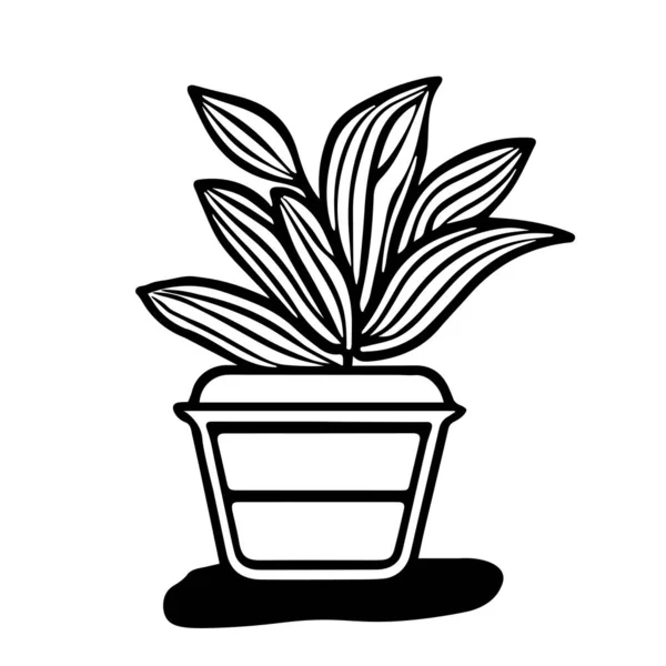 Eine Schwarze Umrisszeichnung Vektor Illustration Einer Dekorativen Pflanze Dieffenbachia Einem — Stockvektor