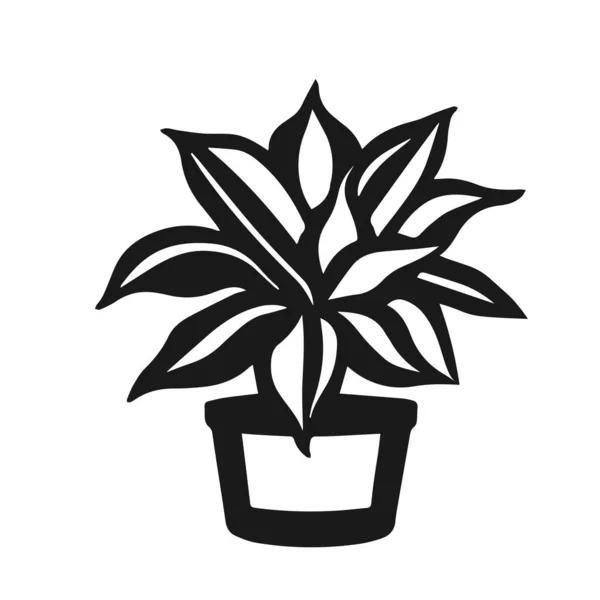 Gray Outline Hand Drawing Vector Illustration Decorative Plant Dieffenbachia Pot — Stock Vector
