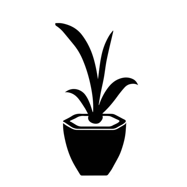 Black Outline Hand Drawing Vector Illustration Decorative Plant Sansevieria Pot — Stock Vector