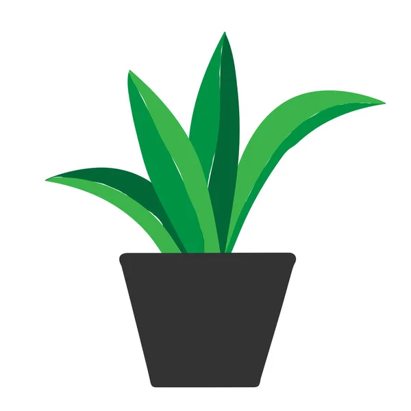Esquema Verde Dibujo Mano Vector Ilustración Una Planta Decorativa Sansevieria — Vector de stock