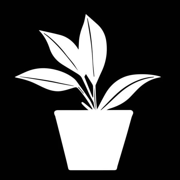 White Outline Hand Drawing Vector Illustration Decorative Plant Dieffenbachia Pot — Stock Vector