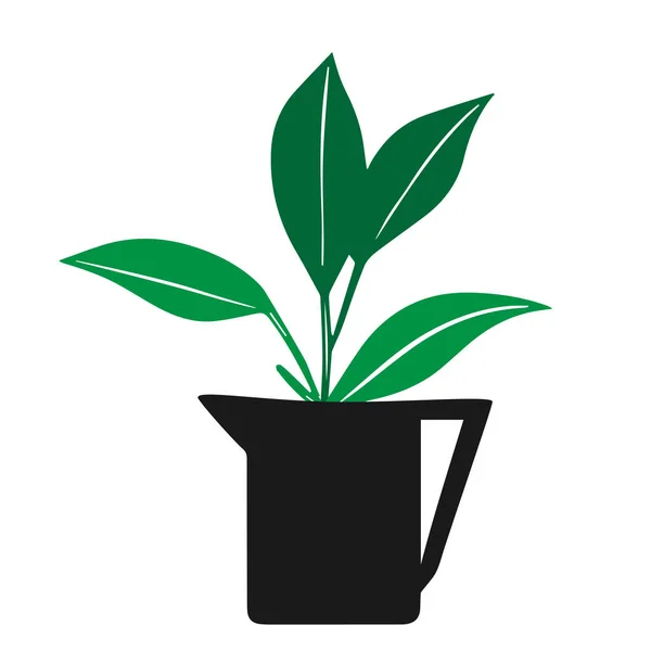 Zielony Zarys Strony Rysunek Wektor Ilustracja Dekoracyjnej Rośliny Dieffenbachia Szarym — Wektor stockowy