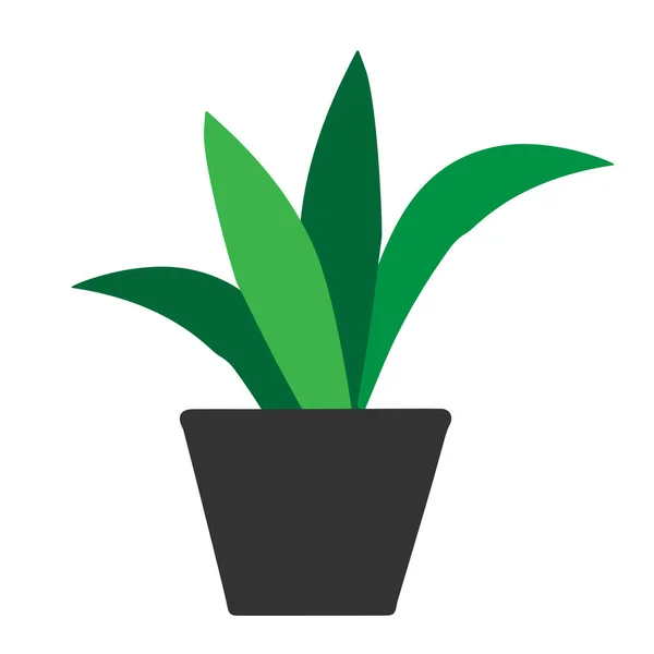 緑のアウトライン手描きベクトル白い背景に隔離された灰色のポットに装飾植物サンセベリアのイラスト — ストックベクタ