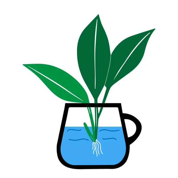 Esquema Verde Dibujo Mano Vector Ilustración Una Planta Decorativa Dieffenbachia — Vector de stock