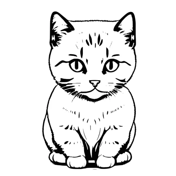 Hand Drawn Black Vector Illustration Portrait Beautiful Fan Kitten Big — Stock Vector