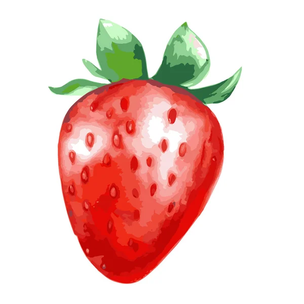 Sebuah Ilustrasi Vektor Dari Satu Strawberry Merah Dengan Daun Hijau - Stok Vektor