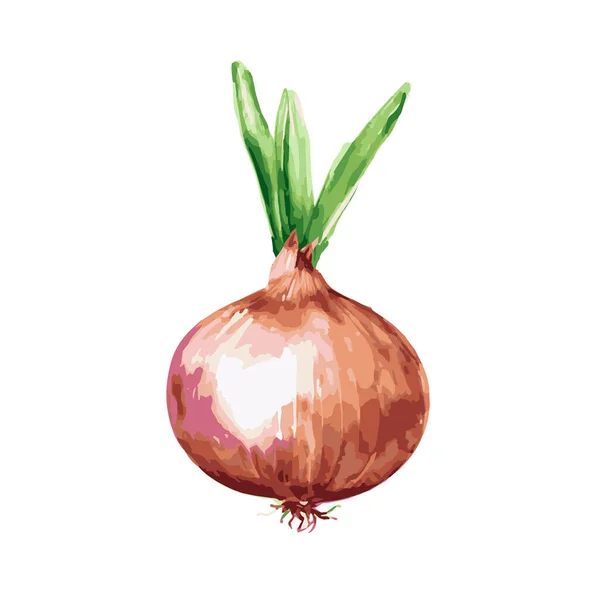 Una Ilustración Vectorial Una Cebolla Naranja Verde Aislada Sobre Fondo — Archivo Imágenes Vectoriales